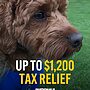 Up to $1,200 tax relief...