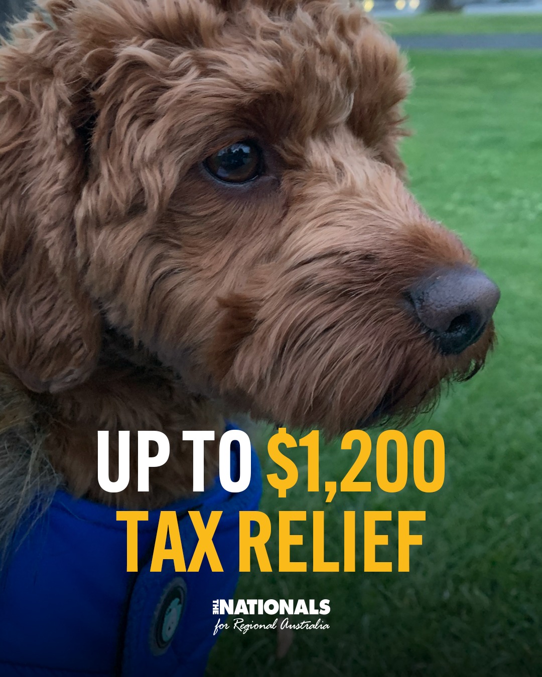 Up to $1,200 tax relief...