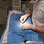Nationals' New Policy Urges Boost in Vet Workforce