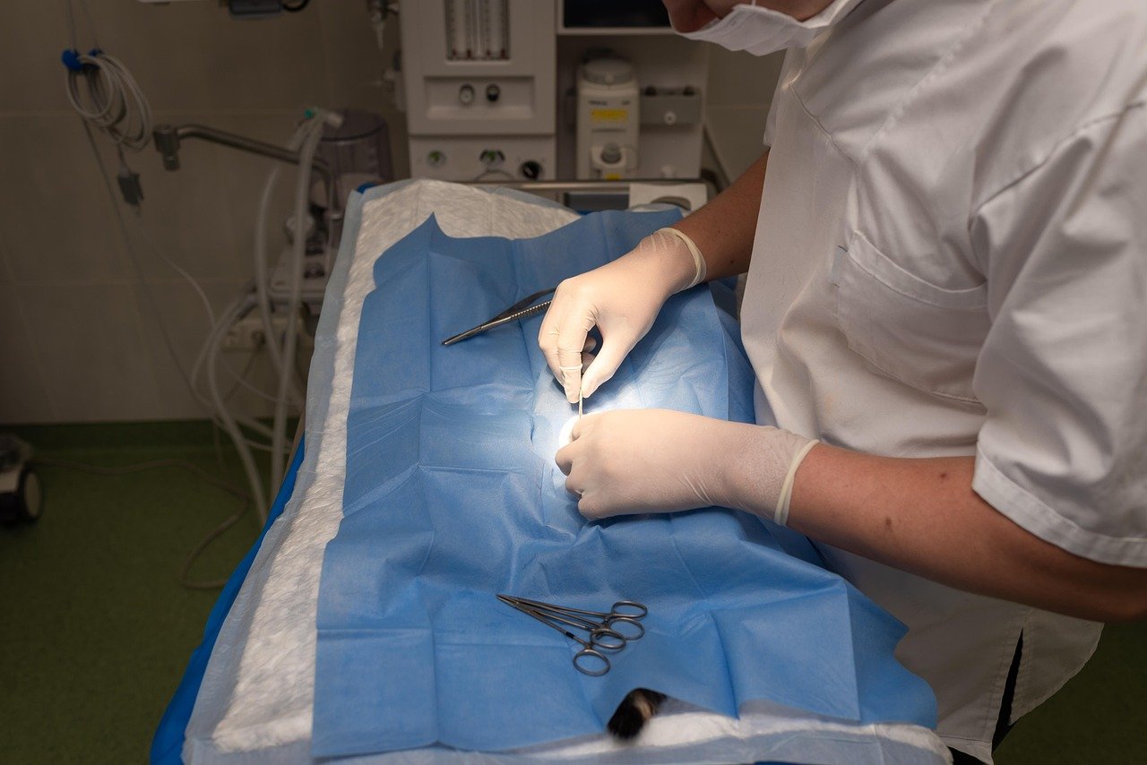 Nationals' New Policy Urges Boost in Vet Workforce