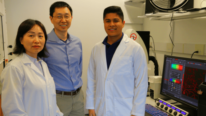 Bei Wang, Chun Han and Nicolas Ruiz in the laboratory at the Weill Institute for Cell and Molecular Biology.