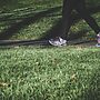 Refugee Mental Health Support in Australia Explored