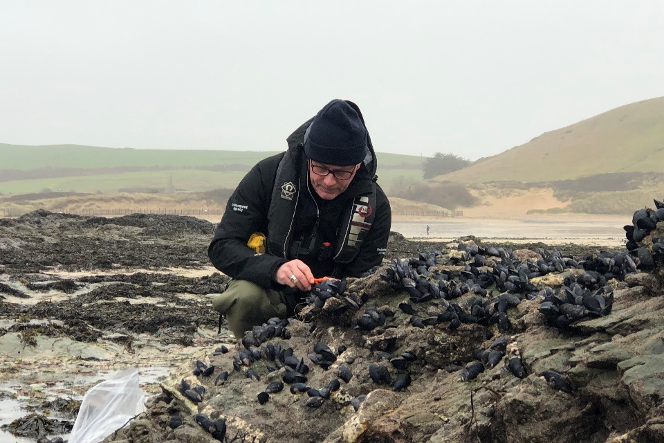 Scientists Explore New Methods to Save Mussel Power