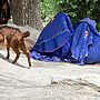Taliban Tighten Grip on Afghan Women's Rights