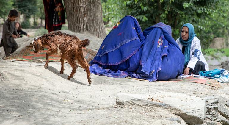 Taliban Tighten Grip on Afghan Women's Rights
