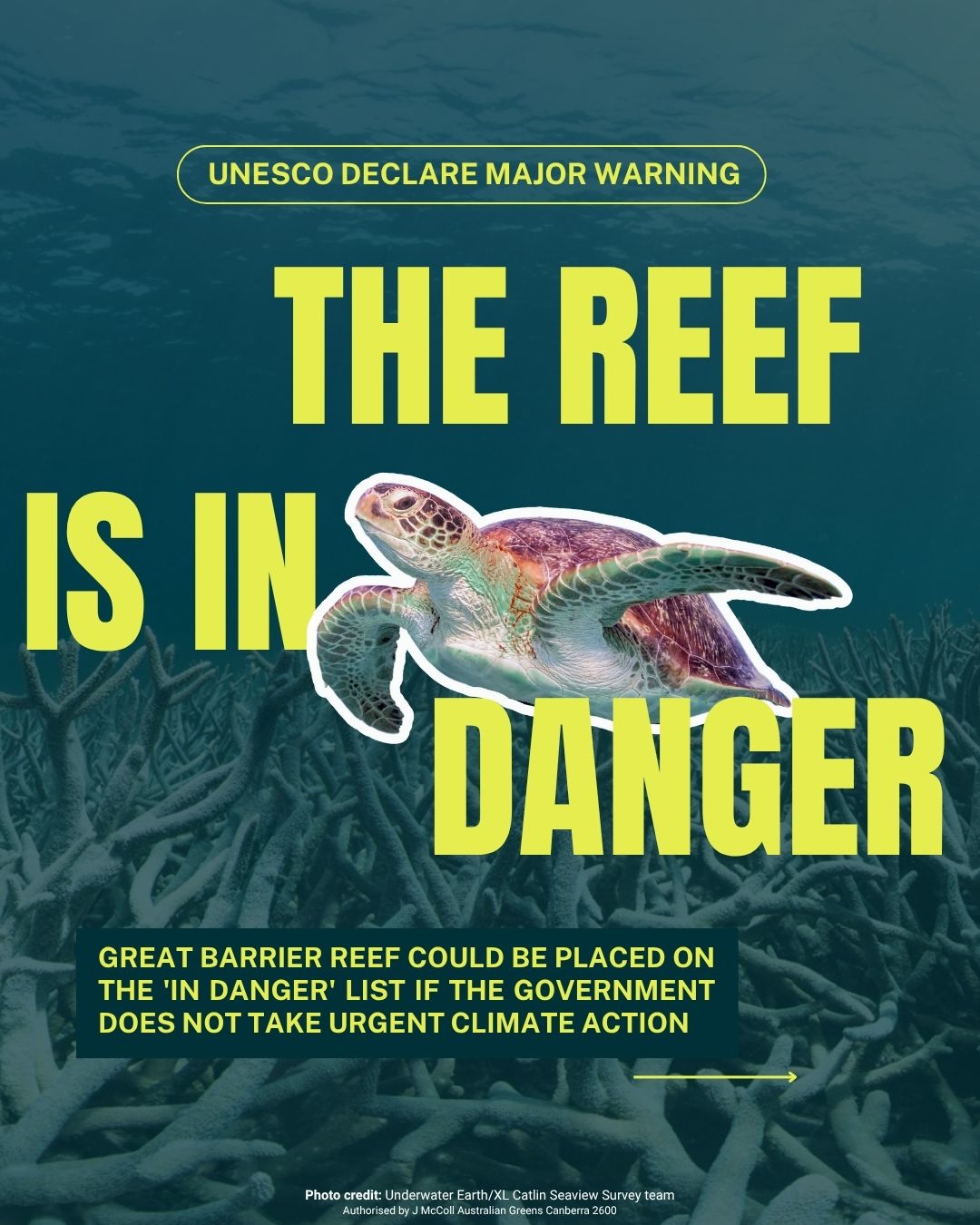 After multiple bleaching events and 50% coral loss caused by rising temperatures...