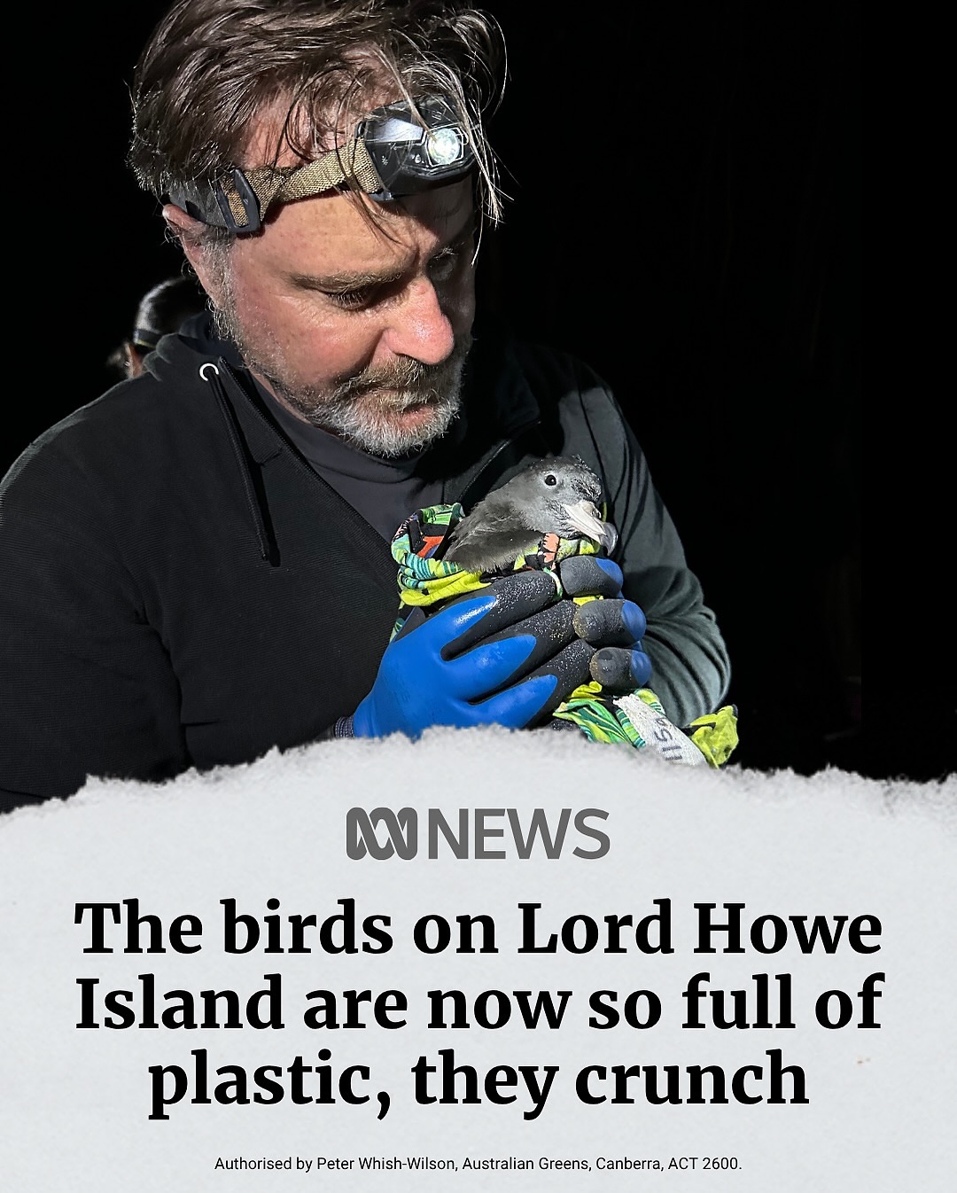 The idyllic and remote Lord Howe Island is the last place you would expect to be...
