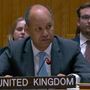 UK Pledges Ongoing Support for Syria at UN Council