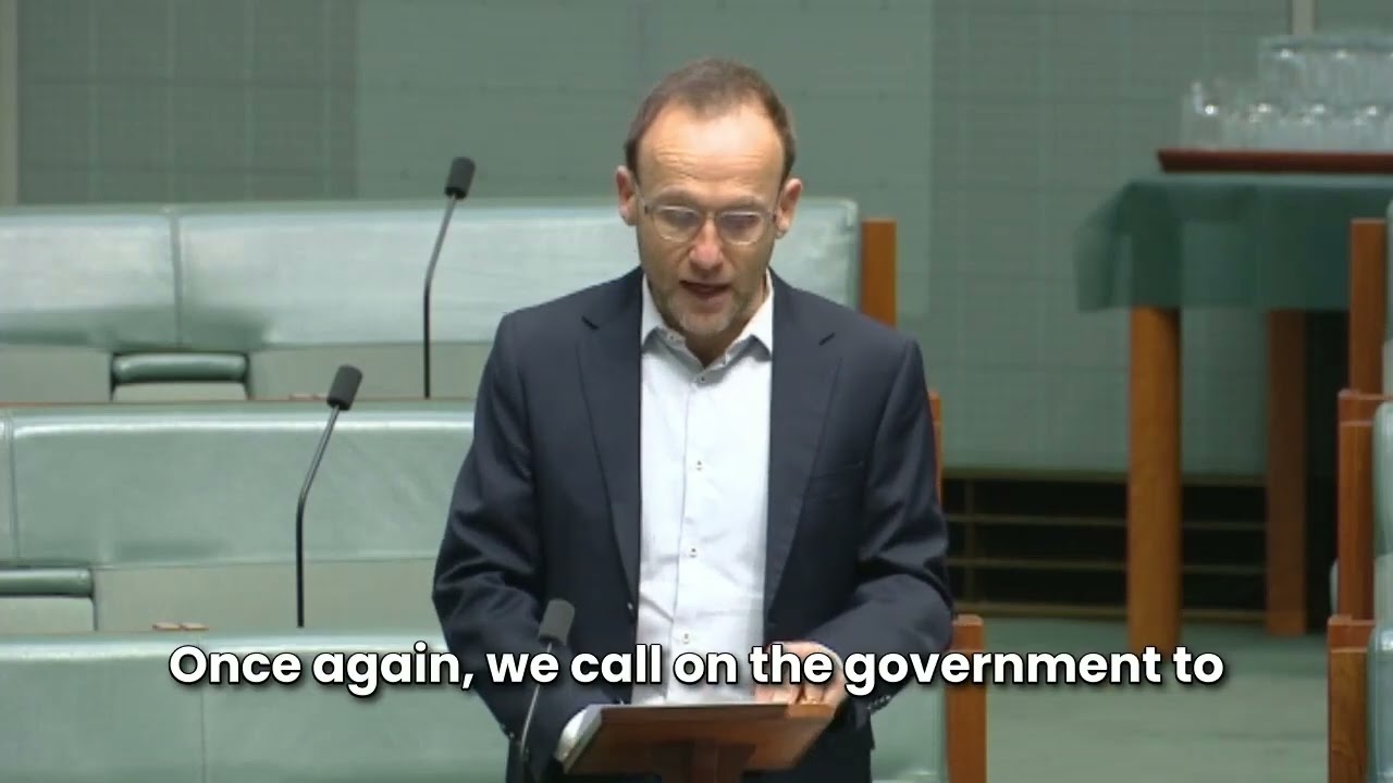VIDEO: Australian Greens: Adam Bandt speaks on Sudan