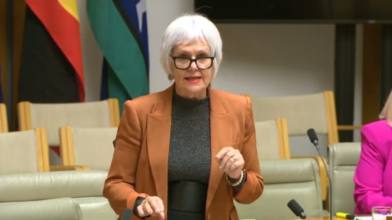 VIDEO: Australian Greens: Elizabeth Watson-Brown on the urgent need to fully fund DFSV services