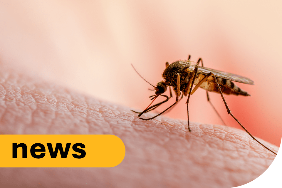 West Nile Virus Detected in UK Mosquitoes