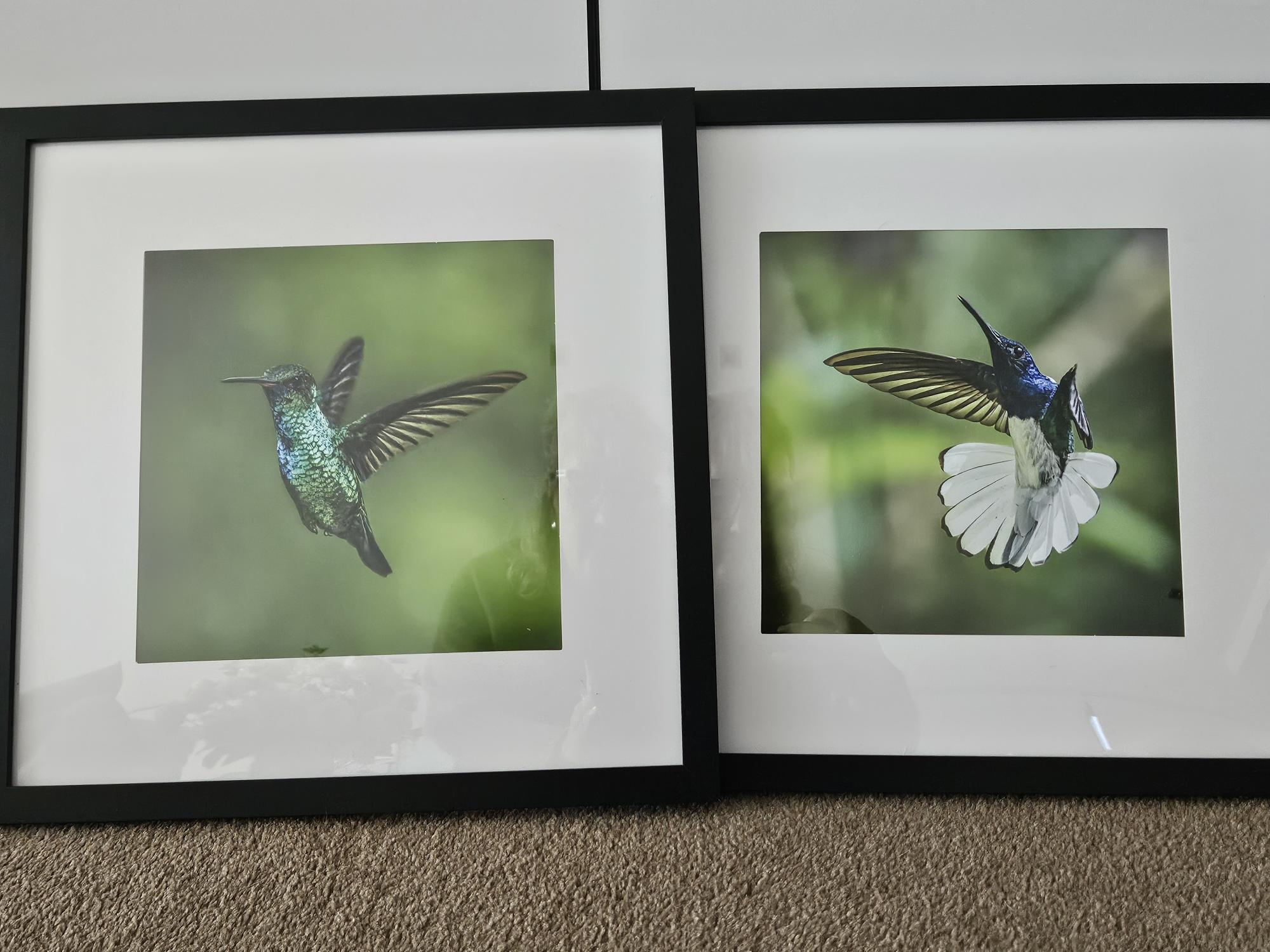 Brush Of Creativity To Support Survivors Of Stroke
