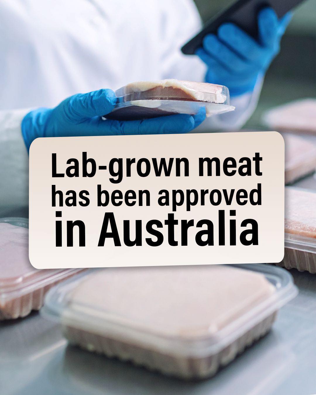 I’ll be choosing meat from an Australian farm any day of the week over anything ...