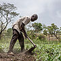 FAO, WFP Warn: Hunger Worsens in 13 Hotspots, 5 at Risk