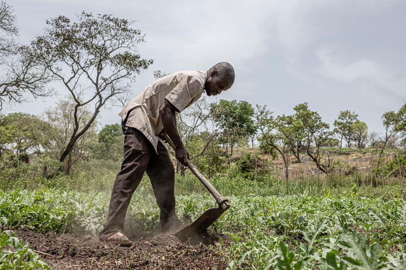 FAO, WFP Warn: Hunger Worsens in 13 Hotspots, 5 at Risk