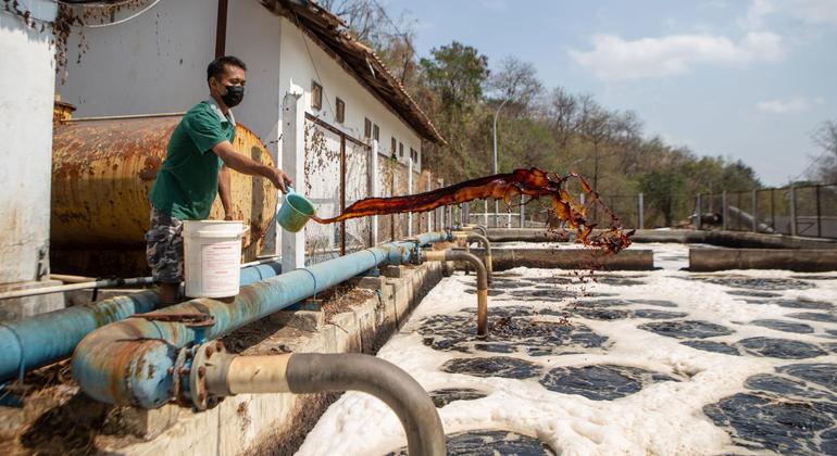 Indonesia Pioneers Faith-Driven Sustainable Finance