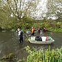 Kennet Sees Rare Glass Eels Boost from Pilot Project