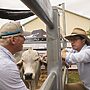 Labor May Trade Away Beef in U.S. Talks