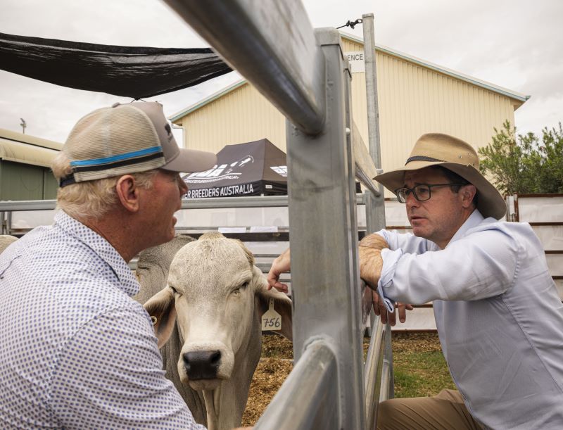 Labor May Trade Away Beef in U.S. Talks