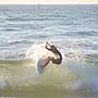 A surfer rides a wave at redhead beach