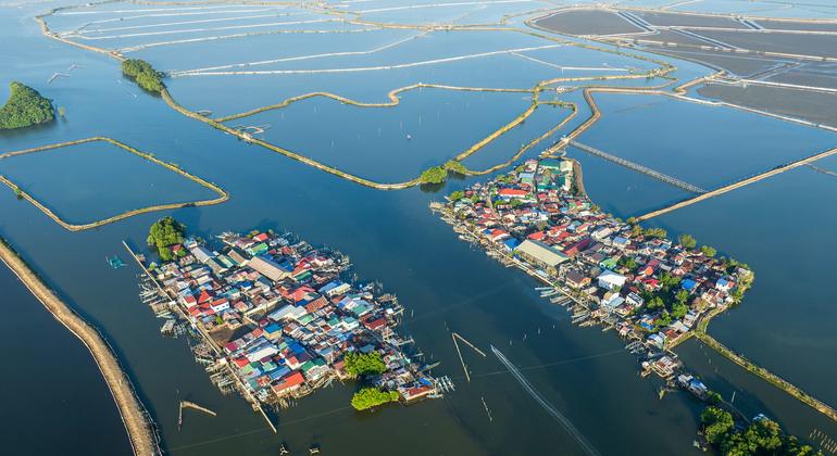 Philippine Women Revive Watersheds, Boost Livelihoods