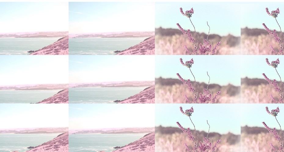 Poetry, Dance, Film Shine at Devon, Cornwall Nature Sites