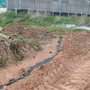 Somerset Pig Farmer Faces Slurry Pollution Costs