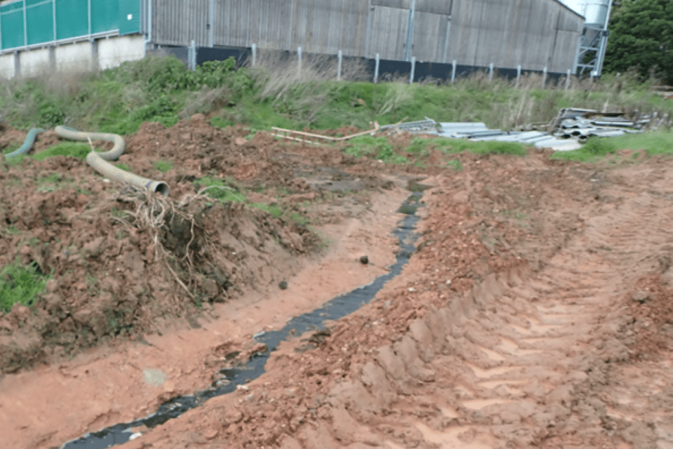 Somerset Pig Farmer Faces Slurry Pollution Costs