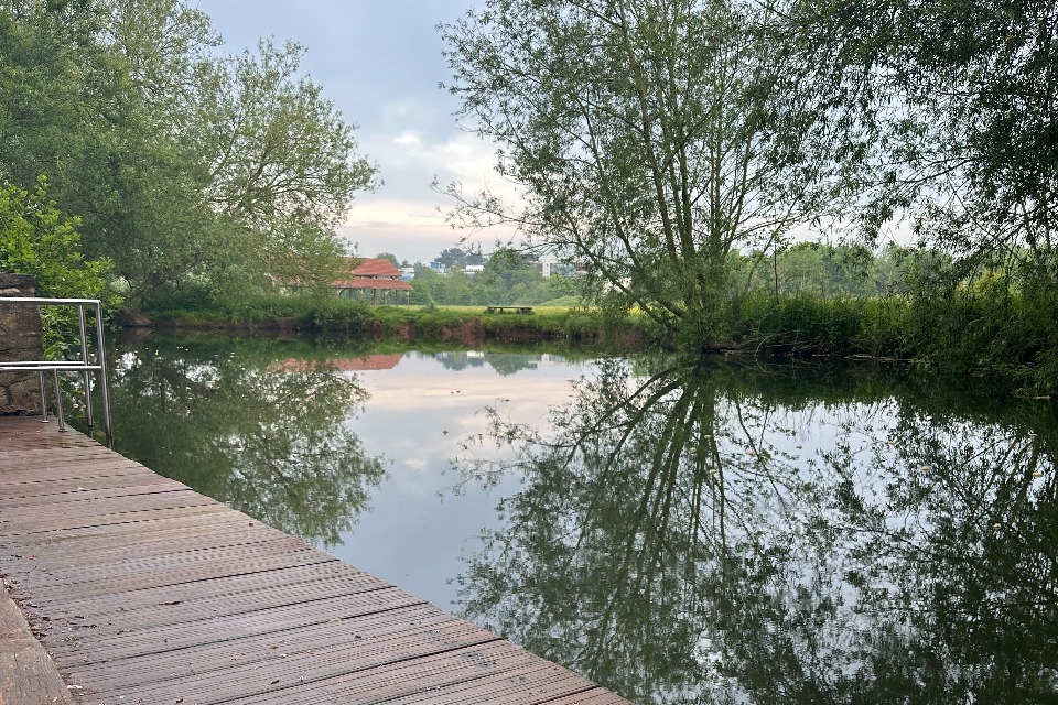 Taunton Bathing Water Quality: Quiz Experts