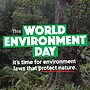 Today is World Environment Day, yet the Labor Government continue to fail our cl...