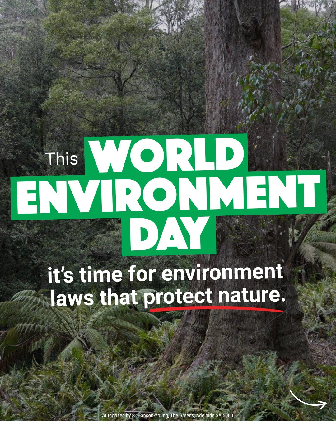 Today is World Environment Day, yet the Labor Government continue to fail our cl...