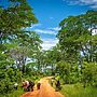 UK Boosts Green Farming Initiatives in Zambia