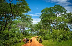 UK Boosts Green Farming Initiatives in Zambia