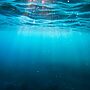 UK Gov Aims to Extend Ban on Harmful Bottom Trawling