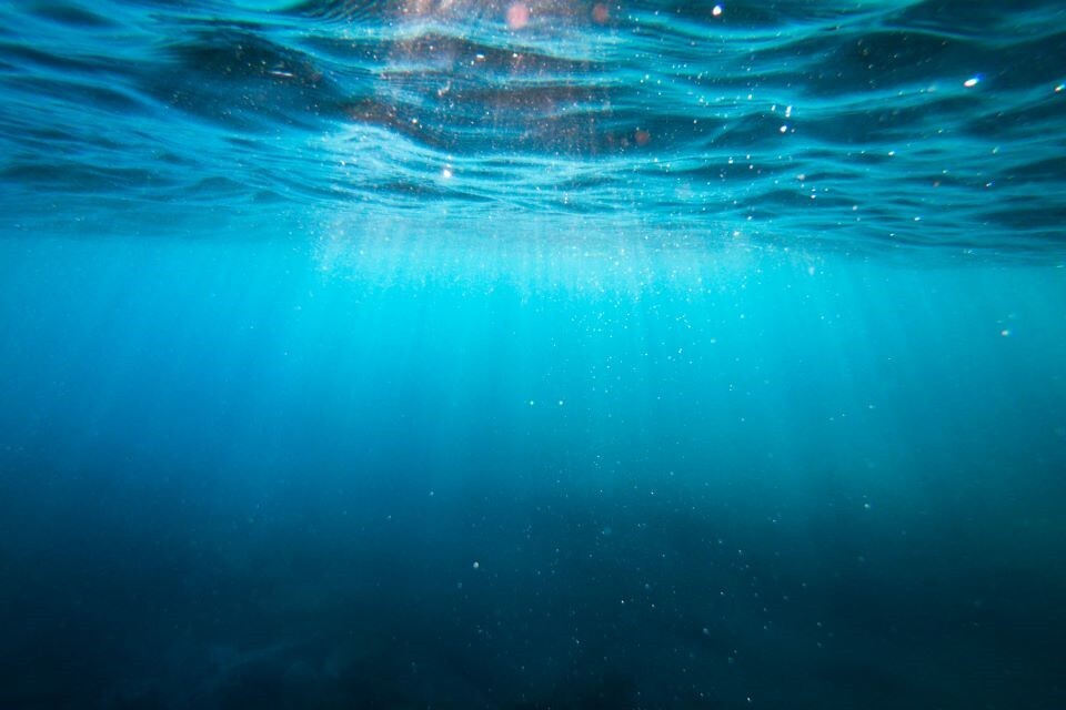 UK Gov Aims to Extend Ban on Harmful Bottom Trawling