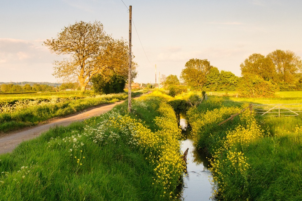 UK Govt Backs Scheme to Combat Farm Drought Risks