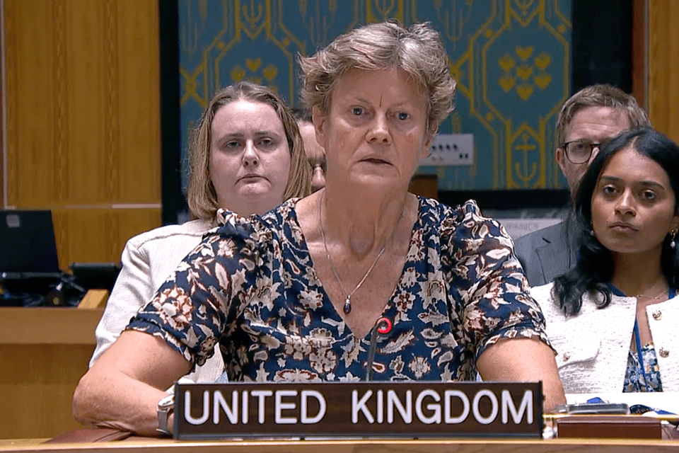 UK Urges Diplomatic Solution at UN Security Council