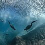 UN Ocean Summit Concludes With Wave Of Commitments
