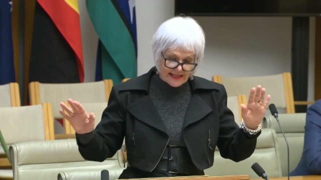 VIDEO: Australian Greens: Elizabeth Watson-Brown calls out underfunding in Queensland public schools