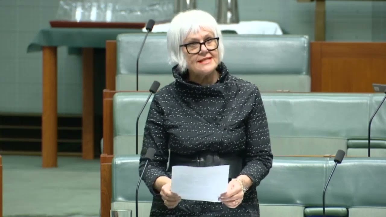 VIDEO: Australian Greens: Elizabeth Watson-Brown on the need to cease defence exports to Israel