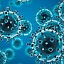 WHO Panel Releases COVID-19 Origins Report