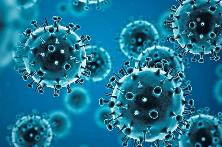 WHO Panel Releases COVID-19 Origins Report