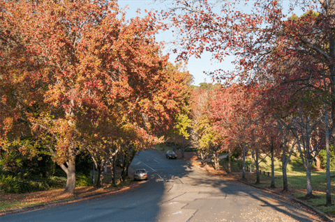 What To Do In Hills This June