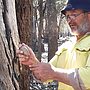 Man in NPWS uniform stands by a tree holding a stone axe.