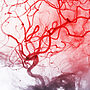 Breakthrough in Brain Scans, Neurodegeneration Insight