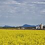 Council Pushes for East Grampians Pipeline