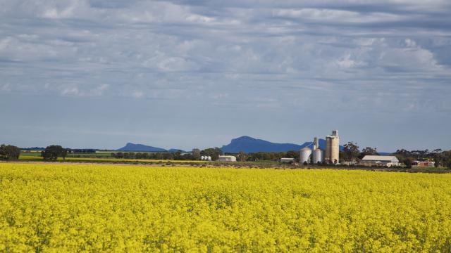 Council Pushes for East Grampians Pipeline