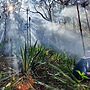 Council, Worimi Host Cultural Cool Burn Workshop
