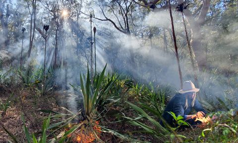 Council, Worimi Host Cultural Cool Burn Workshop