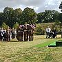 Eight WWI British Soldiers Laid to Rest in France